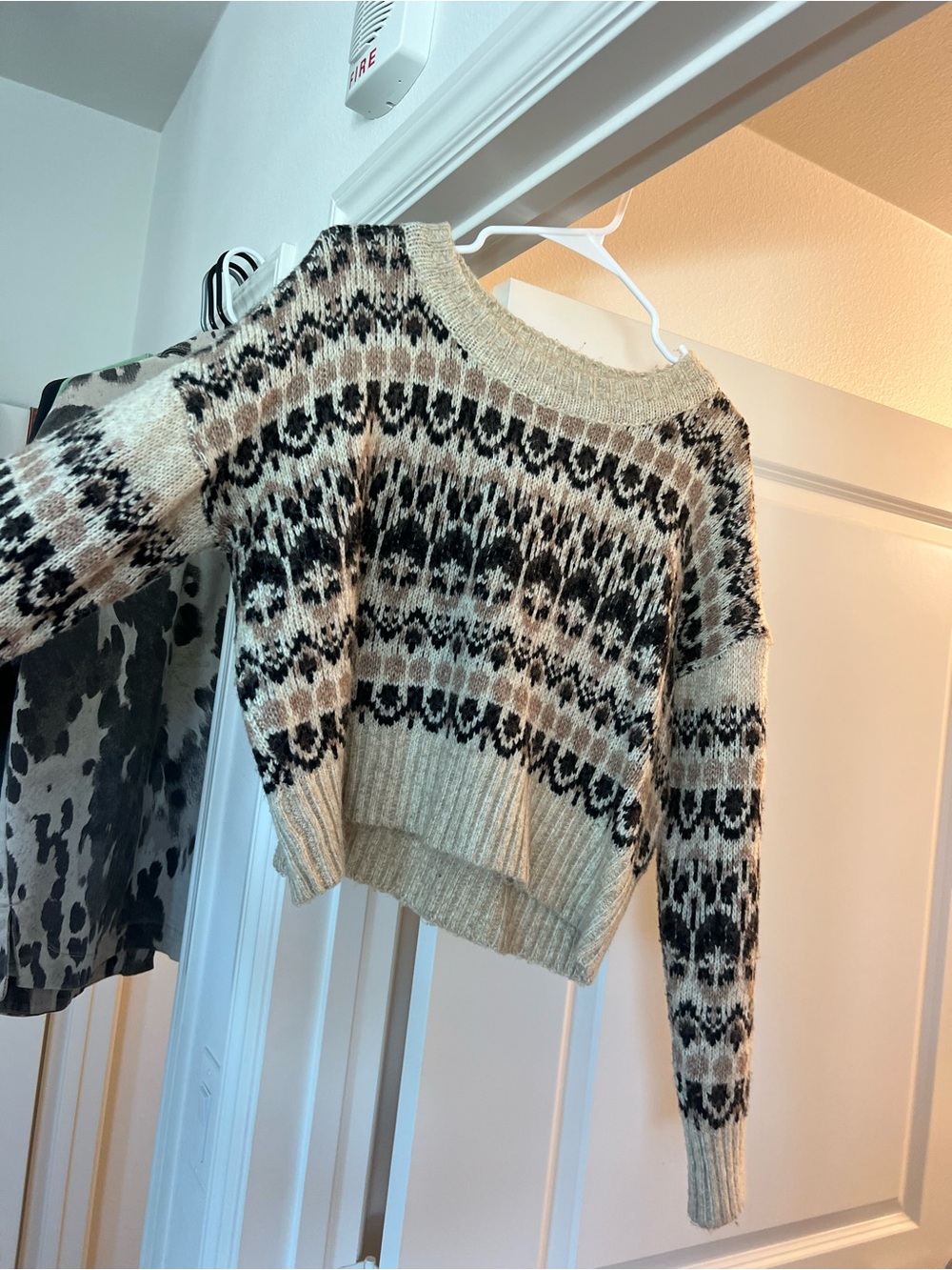 Sage Fair Isle Crewneck Sweater in Beige, Black and Cream